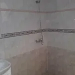 Проживание в семье House Georgievi *